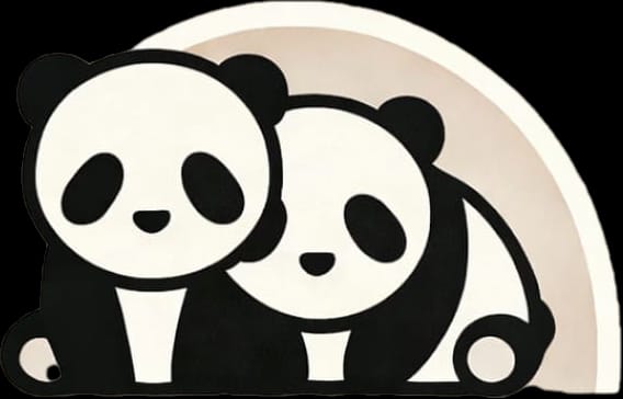 Manuel — Panda-Bande Kinderevents